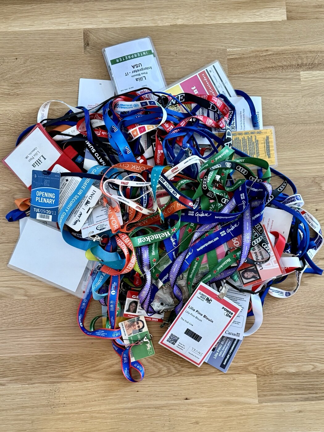 A collection of Lilia Pino Blouin's credentials from international conferences and events